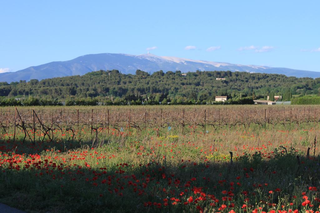 Gite Les Feuilles De Chene Villa Carpentras Luaran gambar